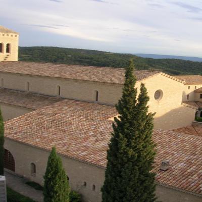 Tuiles anciennes 22 x 50 cm